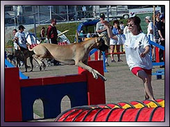 Agility