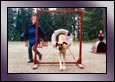 agility
