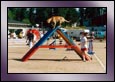 agility